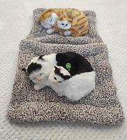 "Кошка с котенком" во Гае